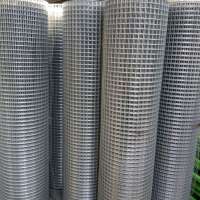 China hot selling products galvanized 1/4 inch welded wire mesh