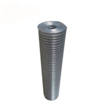 Hot sale 3/8 inch 10 gauge hot dipped galvanized welded wire mesh